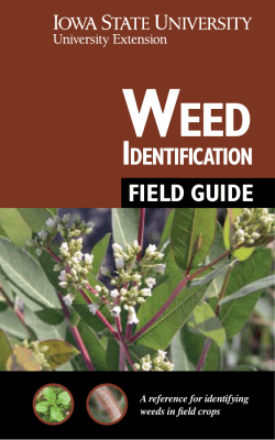 ISU Weed Identification Field Guide