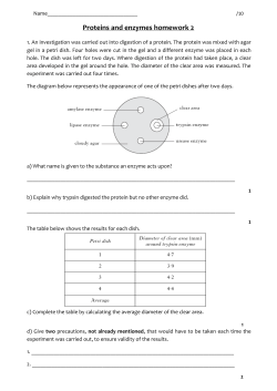 Proteins and enzymes homework 2