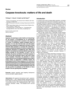 Caspase knockouts: matters of life and death