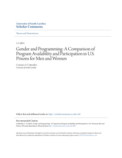 Gender and Programming: A Comparison of Program Availability