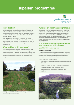 Riparian programme - Greater Wellington Regional Council