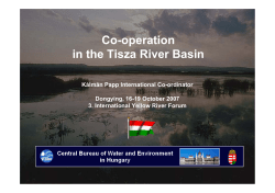 Co-operation in the Tisza River Basin