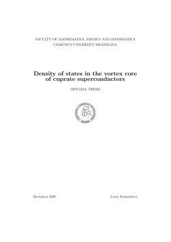 Diploma thesis