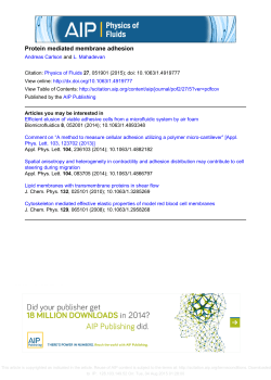 Protein mediated membrane adhesion