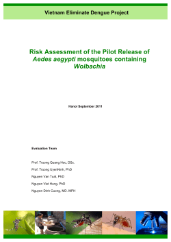 Risk Assessment of the Pilot Release of Aedes