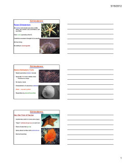 echinoderms - People Server at UNCW