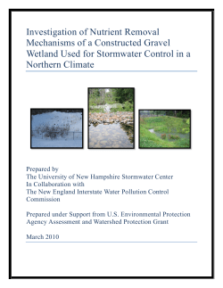 Investigation of Nutrient Removal Mechanisms of a Constructed