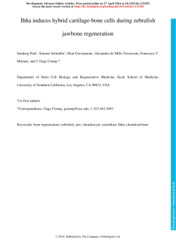 Ihha induces hybrid cartilage-bone cells during