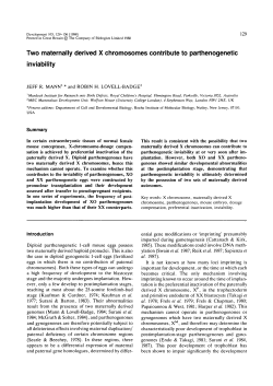 as a PDF