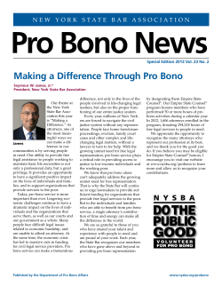 Making a Difference Through Pro Bono