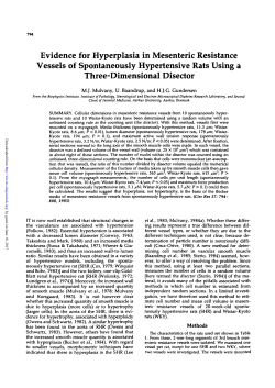 Evidence for Hyperplasia in Mesenteric Resistance Vessels of