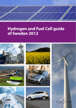 Hydrogen and Fuel Cell guide of Sweden 2012