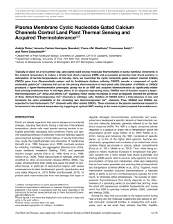 Plasma Membrane Cyclic Nucleotide Gated Calcium Channels