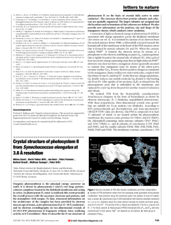 Crystal structure of photosystem II from Synechococcus elongatus at