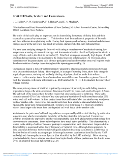 Fruit Cell Walls Texture and Convenience