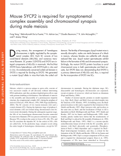 Mouse SYCP2 is required for synaptonemal complex assembly and