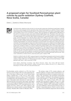 A proposed origin for fossilized Pennsylvanian plant cuticles by