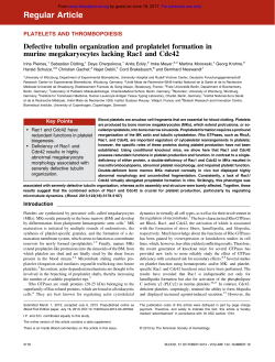 Defective tubulin organization and proplatelet formation in murine