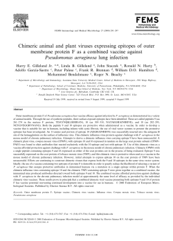 Chimeric animal and plant viruses expressing epitopes of outer
