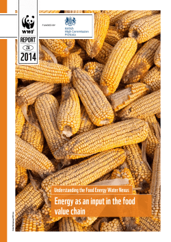 Energy as an input in the food value chain