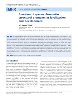 Function of sperm chromatin structural elements