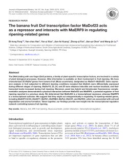 The banana fruit Dof transcription factor MaDof23