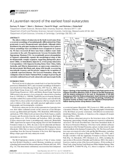 A Laurentian record of the earliest fossil eukaryotes