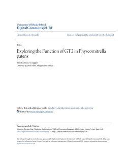 Exploring the Function of GT2 in Physcomitrella patens