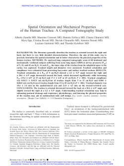 Spatial Orientation and Mechanical Properties of the Human Trachea