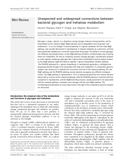 Unexpected and widespread connections between