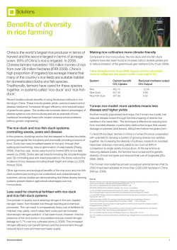 Benefits of diversity in rice farming