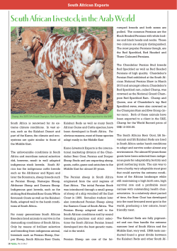 to the PDF - Karoo Livestock Exports