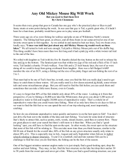 Any Old Mickey Mouse Rig