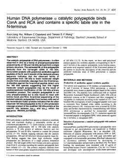 Human DNA polymerase a. catalytic polypeptide binds ConA and