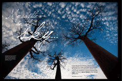 Famed for its chameleons, lemurs and rainforests