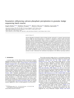 Parameters influencing calcium phosphate precipitation in granular