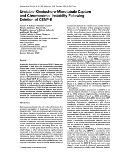 Unstable Kinetochore-Microtubule Capture and Chromosomal