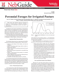 Perennial Forages for Irrigated Pasture