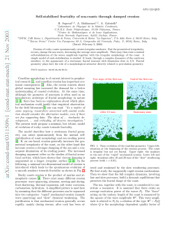 Self-stabilised fractality of sea