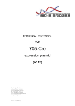 Manual - Gene Bridges