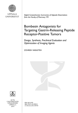 Bombesin Antagonists for Targeting Gastrin