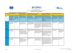 COMMIN Planning Systems 2_Planning national level