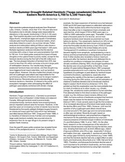 The Summer Drought Related Hemlock (Tsuga