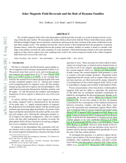 Solar Magnetic Field Reversals and the Role of Dynamo Families