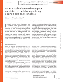 An intrinsically disordered yeast prion arrests the cell cycle by