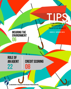 ROLE OF AN AGENT CREDIT SCORING