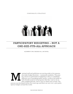participatory budgeting &ndash; not a one-size-fits