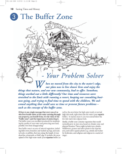 3 The Buffer Zone