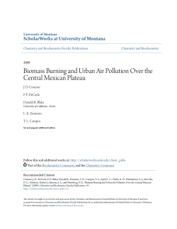 Biomass Burning and Urban Air Pollution Over the Central Mexican