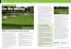 Spring Spray Keeps the Dollar Spot Away